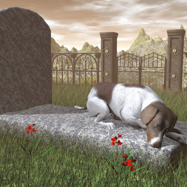 &lt;p&gt;Dog on a tombstone - 3D render&lt;/p&gt;