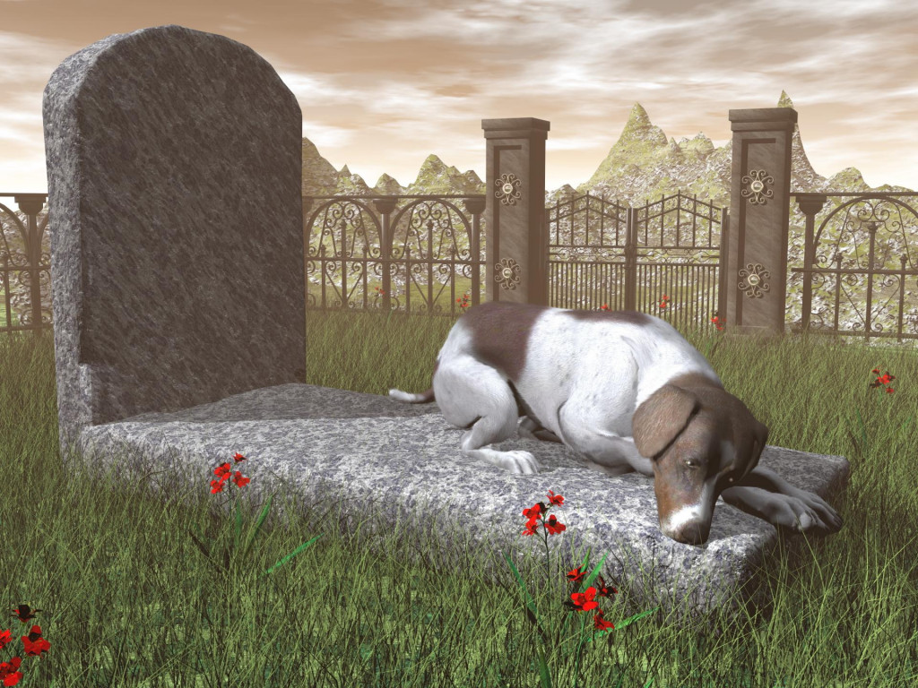 &lt;p&gt;Dog on a tombstone - 3D render&lt;/p&gt;