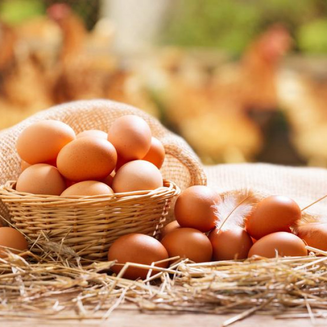 &lt;p&gt;basket of chicken eggs on a wooden table over farm in the countryside&lt;/p&gt;