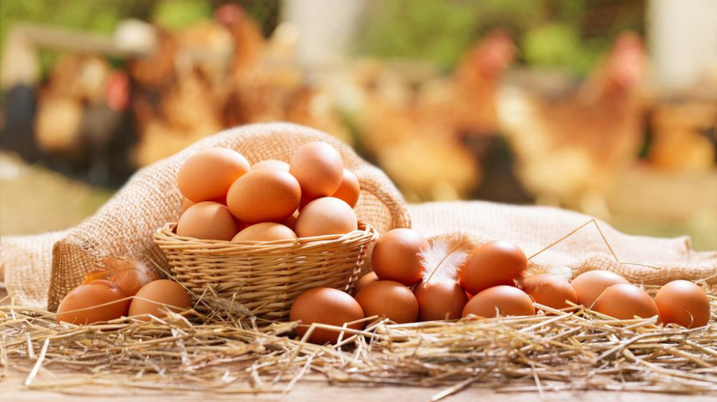 &lt;p&gt;basket of chicken eggs on a wooden table over farm in the countryside&lt;/p&gt;