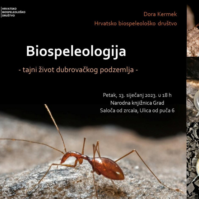 &lt;p&gt;Predavanje Dore Kermek na temu ”Biospeleologija: tajni život dubrovačkog podzemlja”&lt;/p&gt;