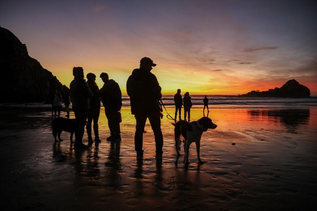 &lt;p&gt;Sarah je preko društvene mreže pozvala vlasnike pasa da se priključe posljednjoj šetnji na plaži (ilustracija)&lt;/p&gt;