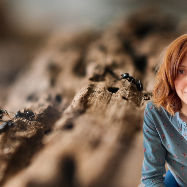 &lt;p&gt;Dr. Milutinović s IRB-a otkrila fascinantan svijet mravi&lt;/p&gt;