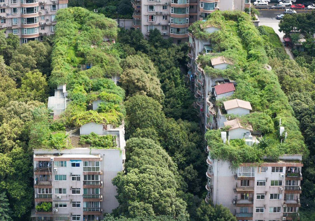 &lt;p&gt;Stambene zgrade u kineskom gradu Chengdu na čijim krovovima su uzgojeni pravi parkovi&lt;/p&gt;

&lt;p&gt;Shutterstock&lt;/p&gt;