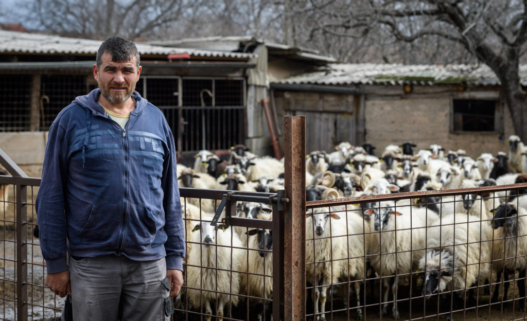 &lt;p&gt;&lt;br&gt;
Uzgajivač ovaca Goran Brkić, mora iseliti svoje stado ovaca jer smetaju susjedima koji se bave turizmom.&lt;br&gt;
 &lt;/p&gt;