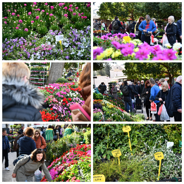 &lt;p&gt;Dubrovnik flower market - otvoren je sajam cvijeća u parku Luja Šoletića u gružu&lt;/p&gt;