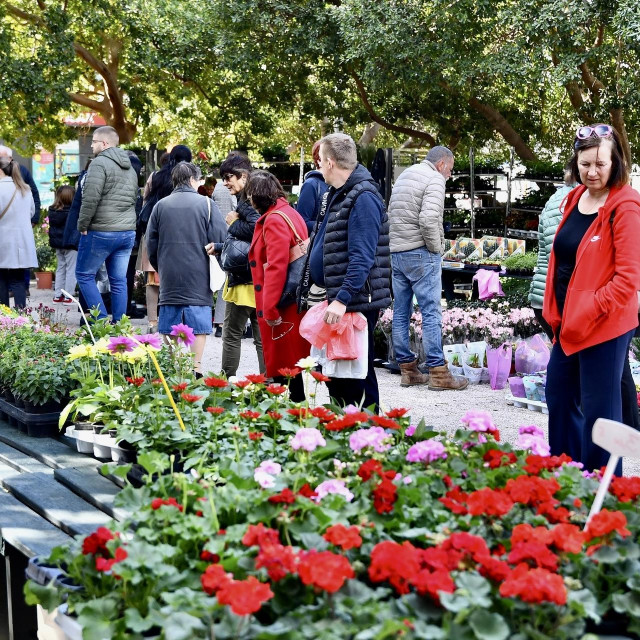 &lt;p&gt;Drugi dan dubrovačkog Flower marketa u Parku Luja Šoletića&lt;/p&gt;