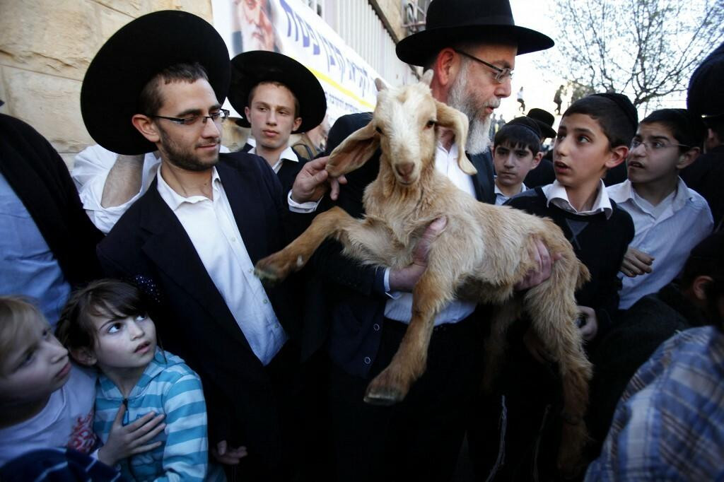 &lt;p&gt;Žrtvovanje koze u Jeruzalemu 2012. godine&lt;/p&gt;