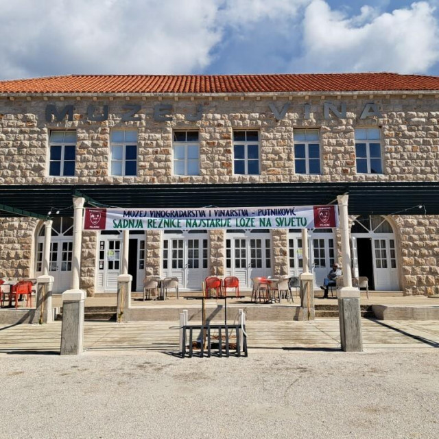 &lt;p&gt;Sadnja reznice najstarije loze na svijetu Stare trte u Muzeju vinogradarstva i vinarstva - Putniković&lt;/p&gt;