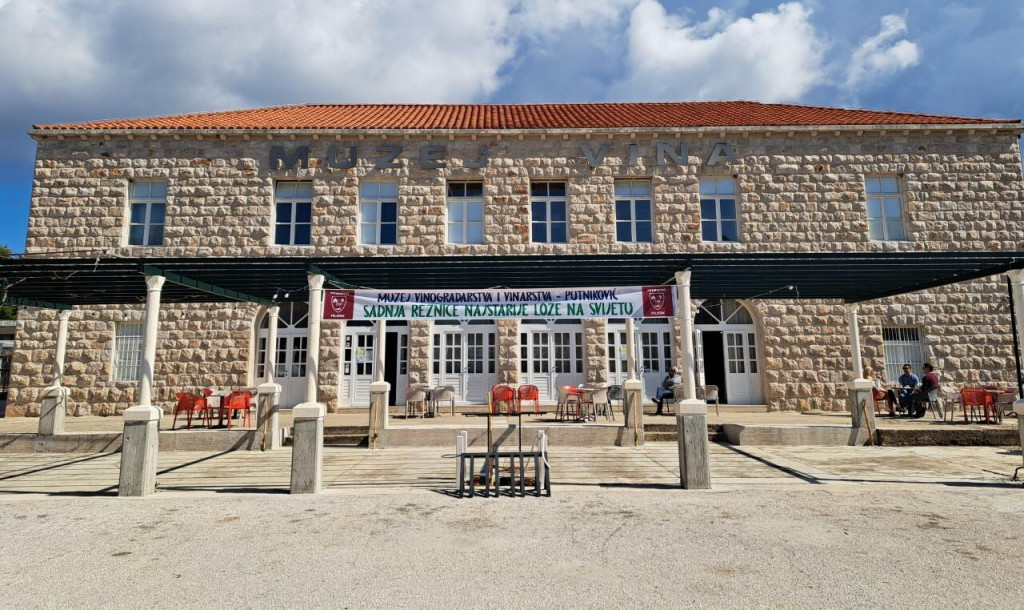 &lt;p&gt;Sadnja reznice najstarije loze na svijetu Stare trte u Muzeju vinogradarstva i vinarstva - Putniković&lt;/p&gt;