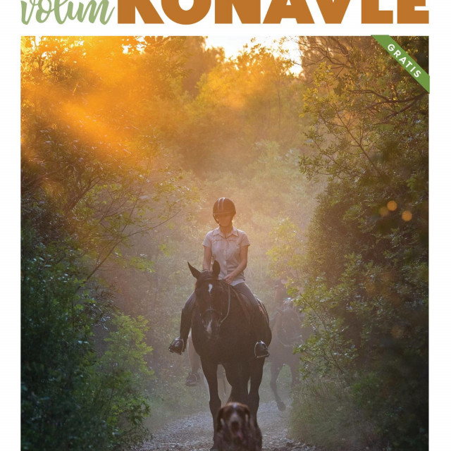 &lt;p&gt;Iz tiska izašao četvrti broj hrvatsko-engleskog magazina In love with Konavle&lt;/p&gt;