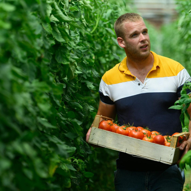 &lt;p&gt;Mladi poljoprivrednik iz doline Neretve, Mirko Knežić bavi se uzgojem povrća u plastenicima &lt;br&gt;
 &lt;/p&gt;