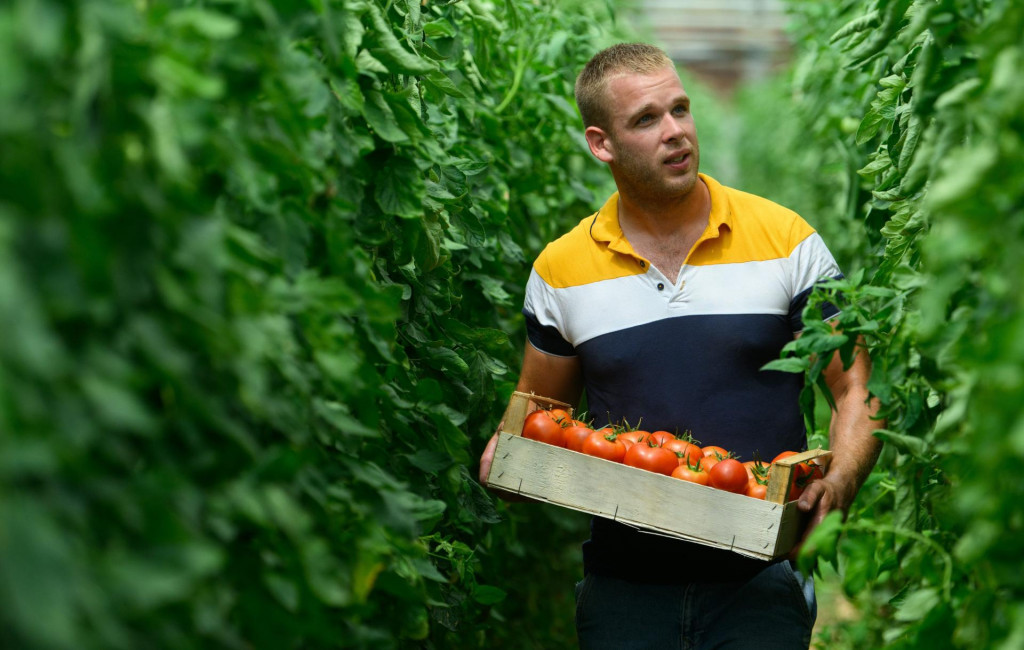 &lt;p&gt;Mladi poljoprivrednik iz doline Neretve, Mirko Knežić bavi se uzgojem povrća u plastenicima &lt;br&gt;
 &lt;/p&gt;