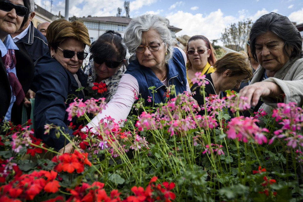 &lt;p&gt;U utorak u 10,30 sati Šibenčanima će biti podijeljeno 2000 sadnica sezonskog cvijeća&lt;/p&gt;