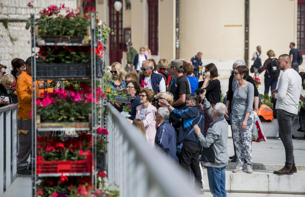 &lt;p&gt;Zeleni grad Šibenik u suradnji s gradskom pravom podijelio je dvije tisuće sadnica sezonskog cvijeća građanima na Poljani&lt;br&gt;
 &lt;/p&gt;