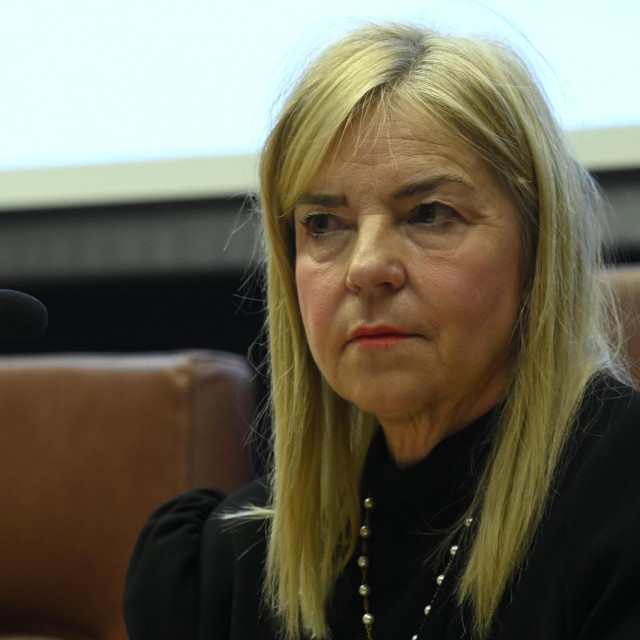 &lt;p&gt;Pravobraniteljica za djecu Helenca Pirnat Dragičević iznijela je zabrinjavajuće podatke u Saboru&lt;br&gt;
 &lt;/p&gt;