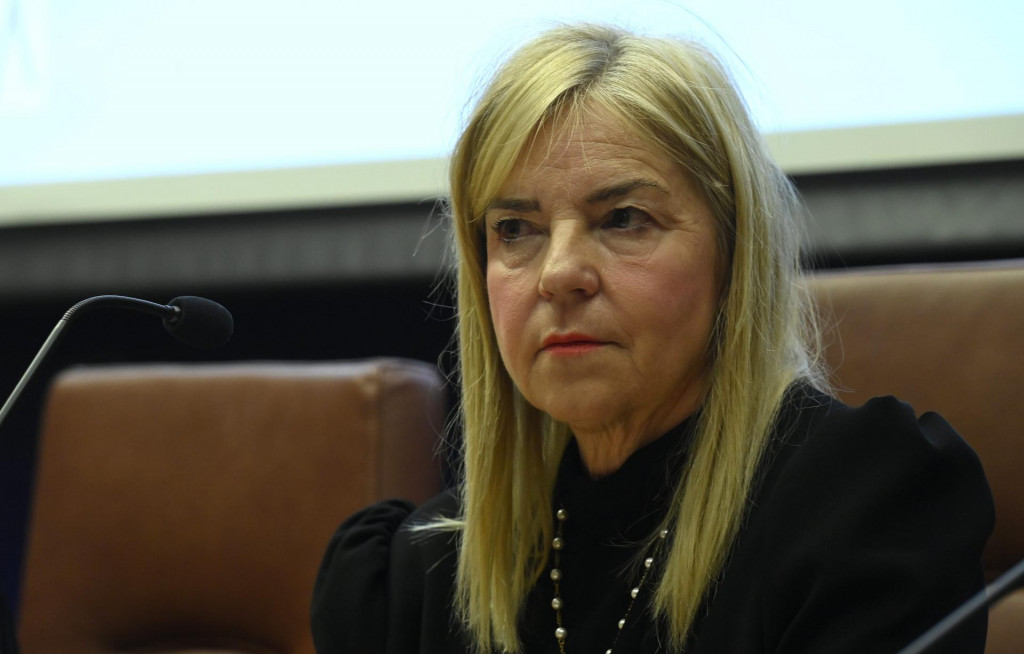 &lt;p&gt;Pravobraniteljica za djecu Helenca Pirnat Dragičević iznijela je zabrinjavajuće podatke u Saboru&lt;br&gt;
 &lt;/p&gt;