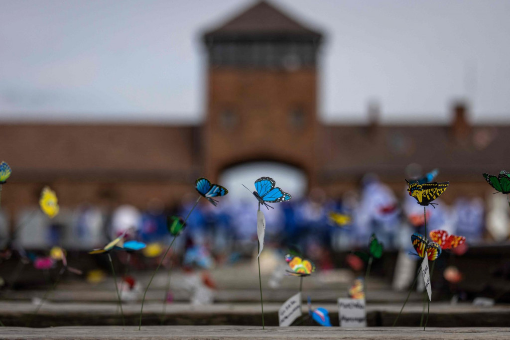 &lt;p&gt;Auschwitz&lt;/p&gt;