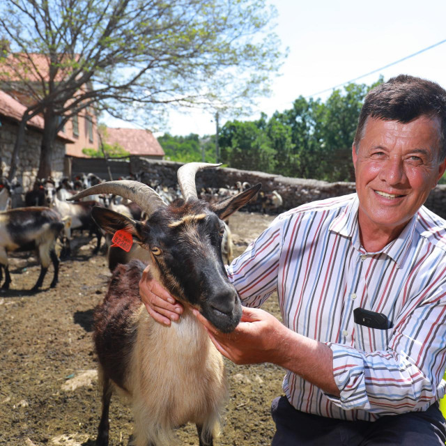 &lt;p&gt;Vinko Dragičević na svom OPG-u uzgaja koze, krave i bavi se pčelarstvom&lt;/p&gt;