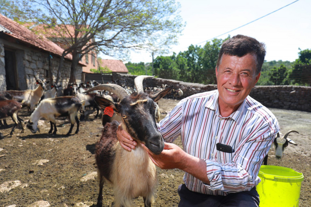 &lt;p&gt;Vinko Dragičević na svom OPG-u uzgaja koze, krave i bavi se pčelarstvom&lt;/p&gt;