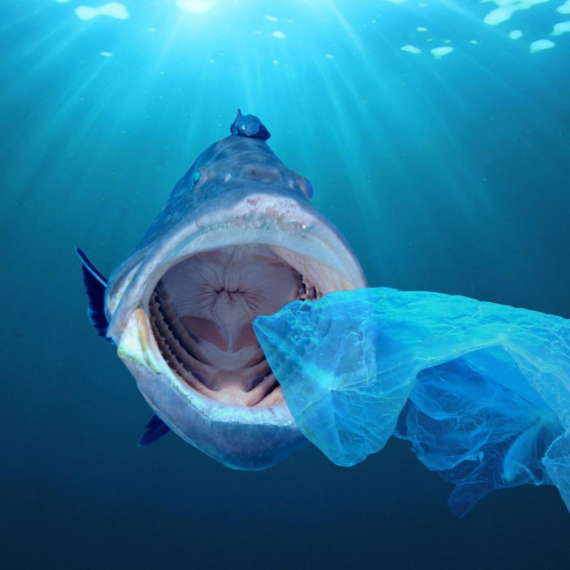 &lt;p&gt;Sva ona upozorenja o tome kako su oceani opterećeni neizmjerljivim tonama odbačene plastike običnom se čovjeku čine kao nešto daleko&lt;/p&gt;