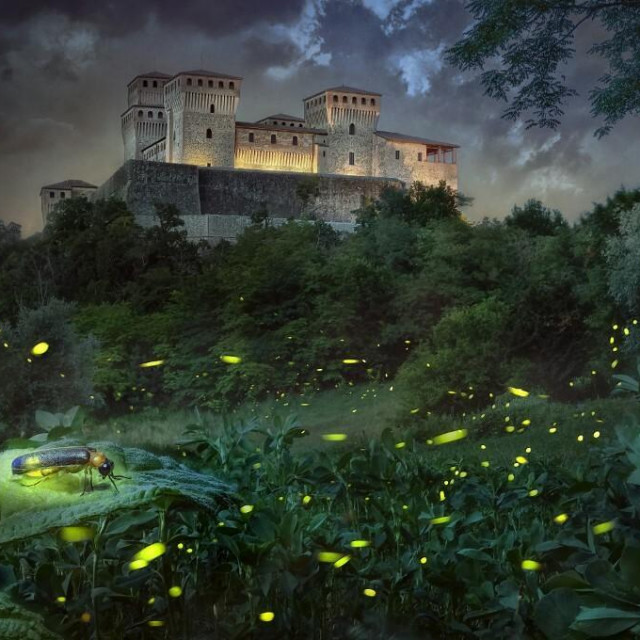 &lt;p&gt;Fascinantan prizor: krijesnica ispred dvorca Torrechiara u Parmi, Italija&lt;/p&gt;