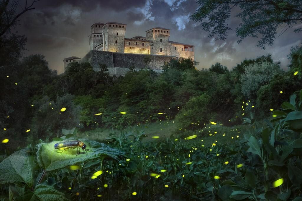 &lt;p&gt;Fascinantan prizor: krijesnica ispred dvorca Torrechiara u Parmi, Italija&lt;/p&gt;