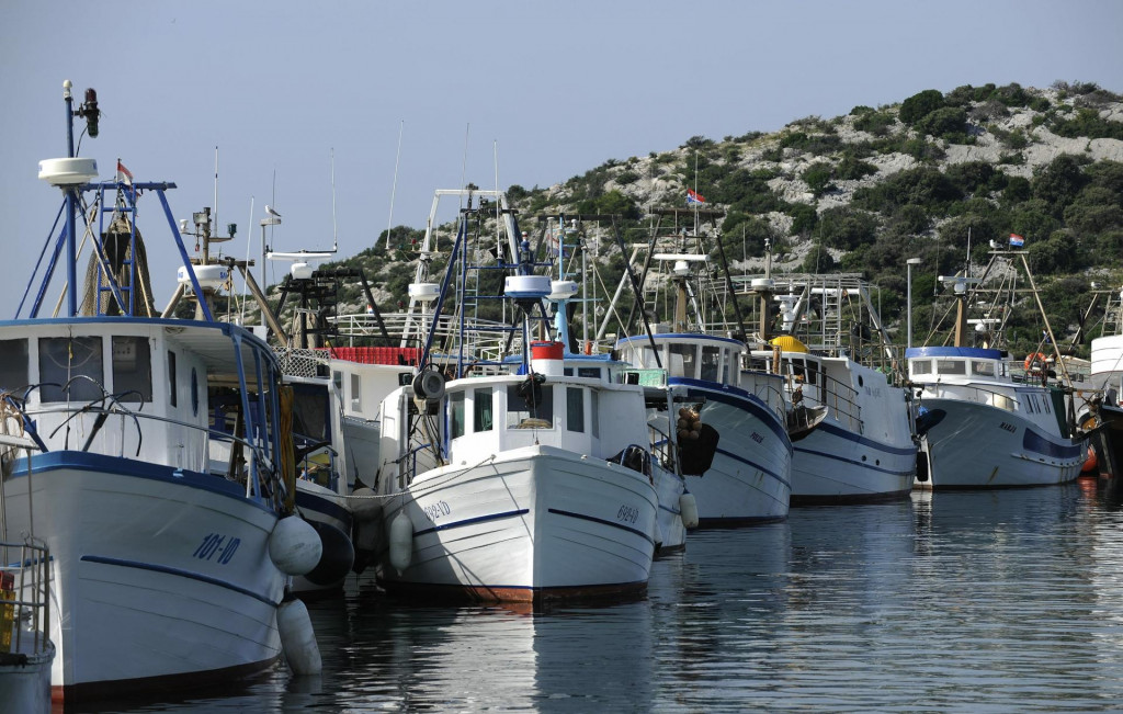 &lt;p&gt;Tribunj, 240614.&lt;br&gt;
Veletrznica ribe ribarske zadruge Adria u Tribunju jos nije pocela sa radom.&lt;br&gt;
Na fotografiji: ribarski brodovi u luci.&lt;br&gt;