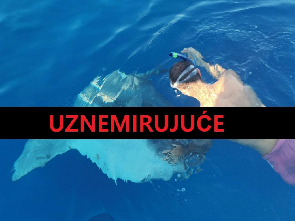 &lt;p&gt;F B/Milaneze Komiza, Stop glisiranju blizu obale i ugrožavanju života ronilaca&lt;/p&gt;