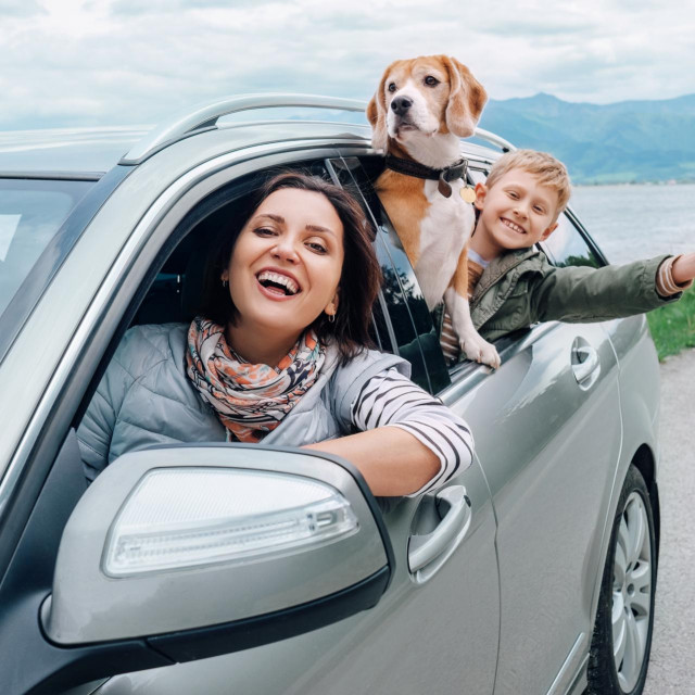 &lt;p&gt;Happy family look out from car windows&lt;/p&gt;