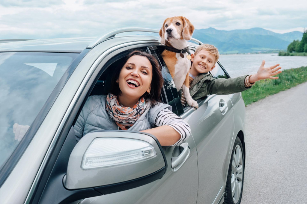 &lt;p&gt;Happy family look out from car windows&lt;/p&gt;