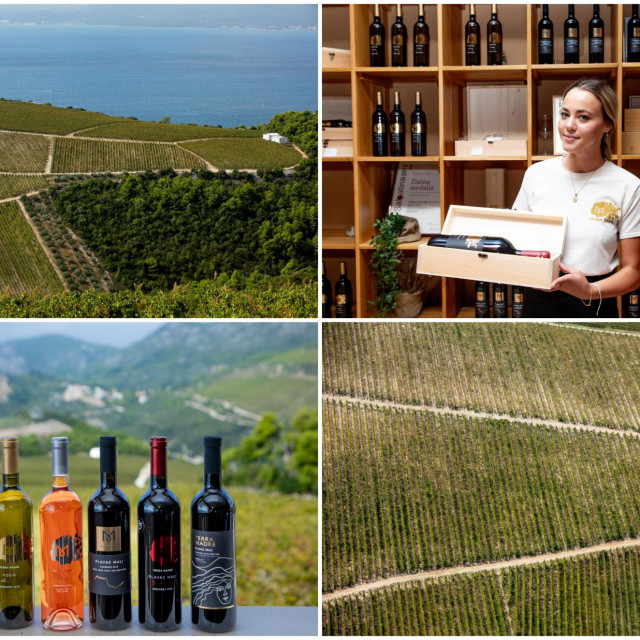 &lt;p&gt;Prve vinske kapljice potekle su s Komarne prije 13 godina, a već 2013. ona je zbog svojih posebnosti i službeno priznata kao posebno vinogorje&lt;/p&gt;