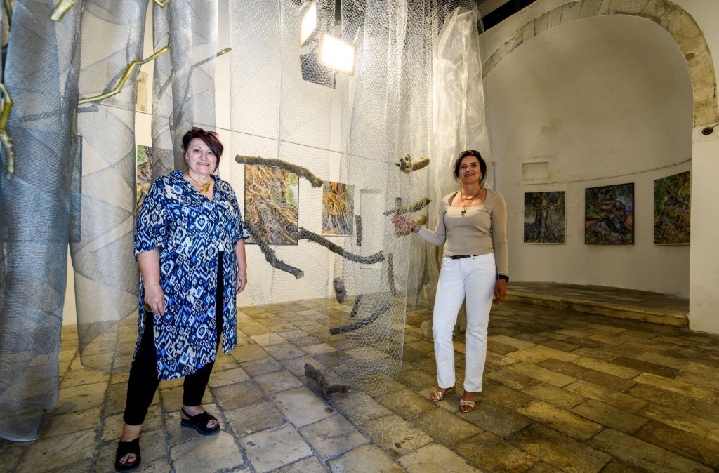 &lt;p&gt;Dijana Iva Sesartić i Snježana Đirlić-Bošnjak podijelile su galeriju&lt;/p&gt;