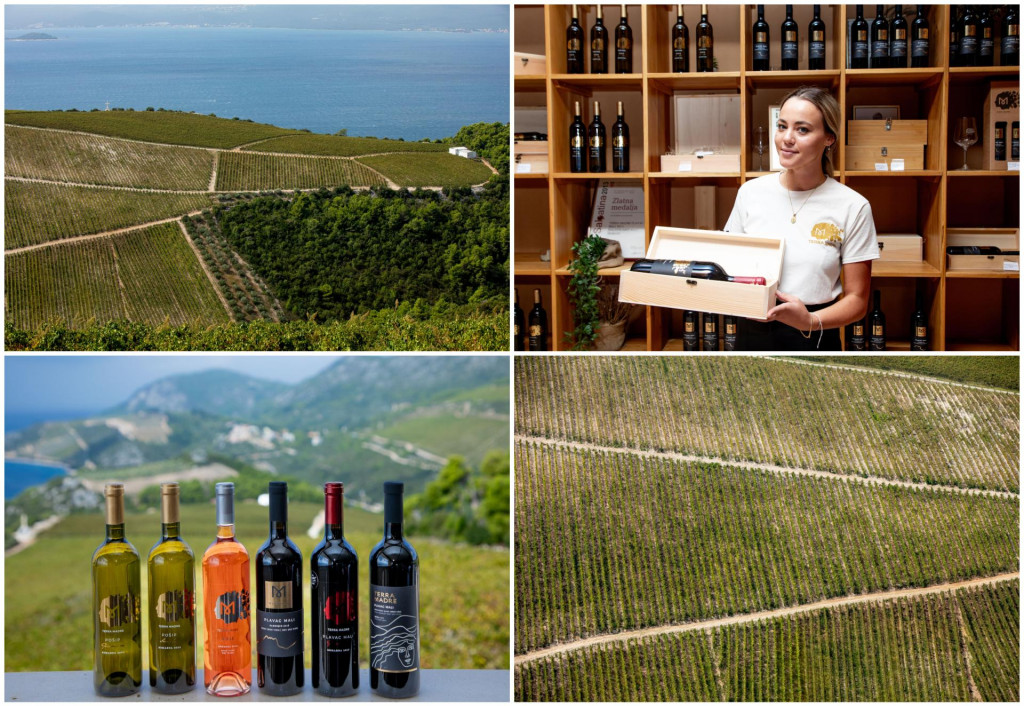 &lt;p&gt;Prve vinske kapljice potekle su s Komarne prije 13 godina, a već 2013. ona je zbog svojih posebnosti i službeno priznata kao posebno vinogorje&lt;/p&gt;