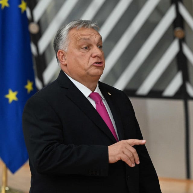 <p>AFP</p>