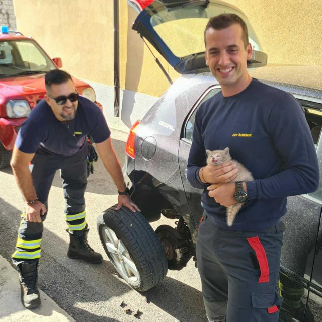 &lt;p&gt;Šibenski vatrogasci spasili malog mačića&lt;/p&gt;