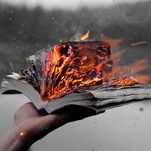 &lt;p&gt;Burning books&lt;/p&gt;
