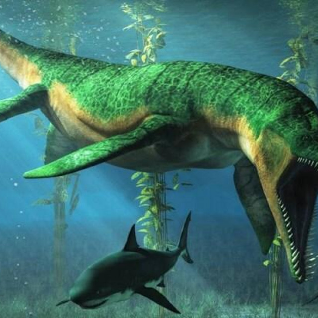 &lt;p&gt;Pliosaur&lt;/p&gt;