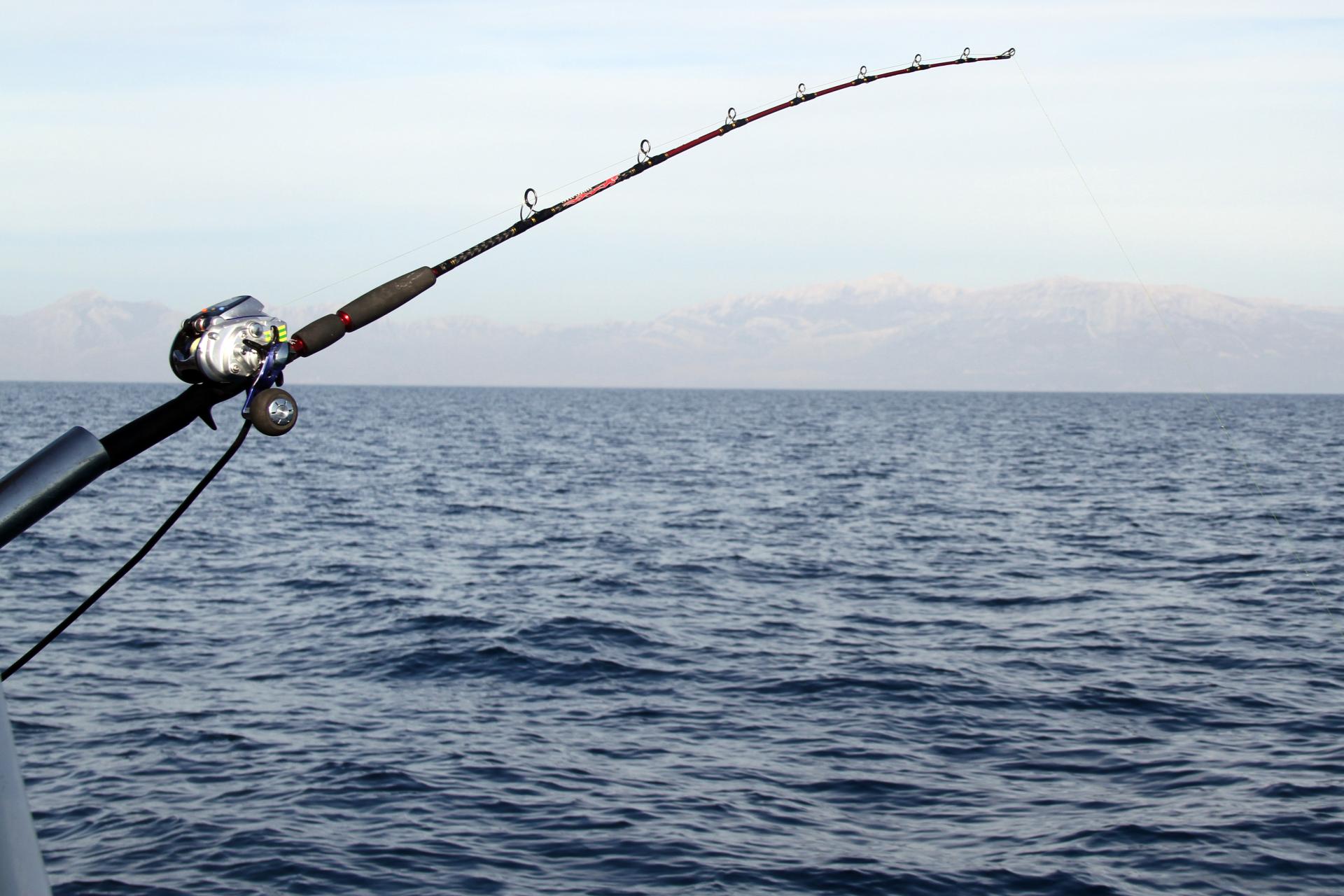 Otvoreno more - Štapovi znaju i 'letjeti i roniti': evo kako ćete zaštititi  svoj omiljeni ribolovni pribor