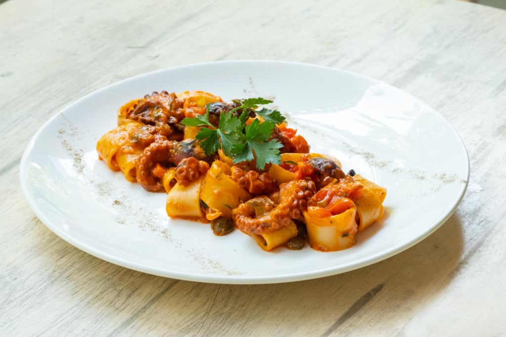 &lt;p&gt;close up of calamarata octopus italian traditional sicilian pasta homemade seafood sauce with tomato,basil,parsley,herbs,chilly prepared by professional chef in a fine dining restaurant&lt;/p&gt;