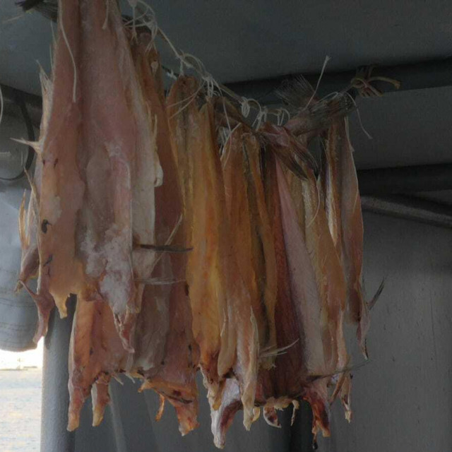 &lt;p&gt;Sušeni moli jadranski su bakalari, a naši ih ribari prodaju za 20 eura po kilogramu&lt;/p&gt;