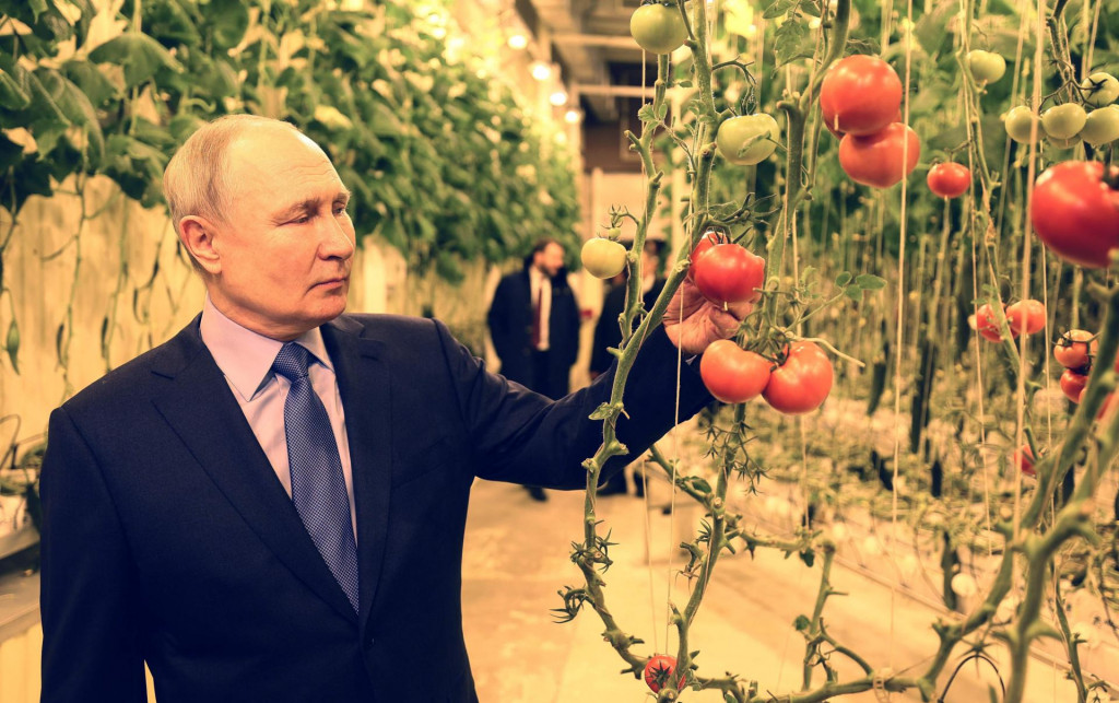 &lt;p&gt;In this pool photograph distributed by Russian state agency Sputnik, Russia‘s President Vladimir Putin visits a year-round greenhouse complex in Anadyr in the remote far eastern Chukotka region on January 10, 2024. (Photo by Gavriil GRIGOROV/POOL/AFP)&lt;/p&gt;