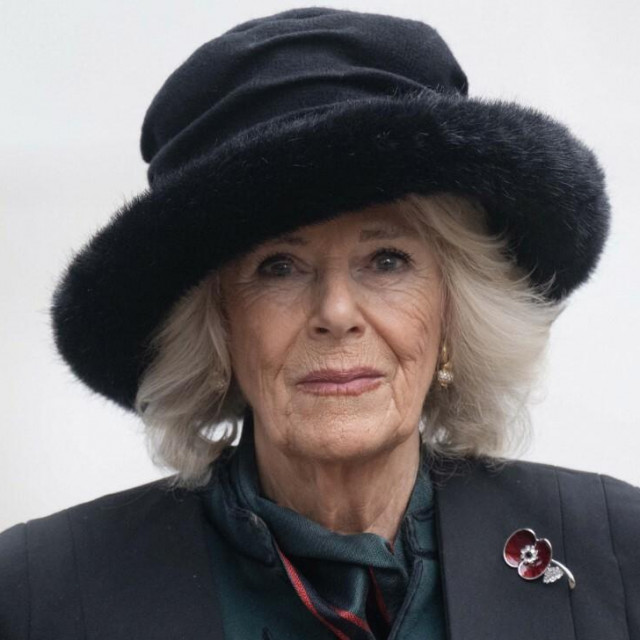 &lt;p&gt;Kraljica Camilla, njena tri posjeta kralju Charlesu zabrinula su dio britanske javnosti&lt;/p&gt;