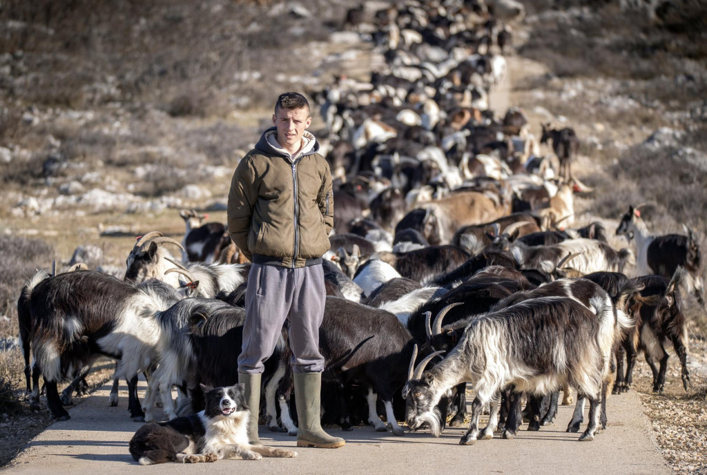 &lt;p&gt;Mladi uzgajivač koza Mario Mioč iz Otoka kod Sinja koji s nepunih 18 godina uzgaja stado od 300 hrvatskih šarenih koza podno Kamešnice&lt;/p&gt;