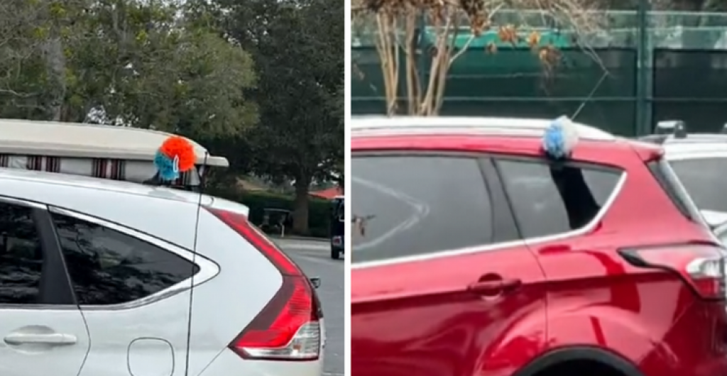 &lt;p&gt;Spužve na automobilima na Floridi u viralnome videu&lt;br&gt;
 &lt;/p&gt;