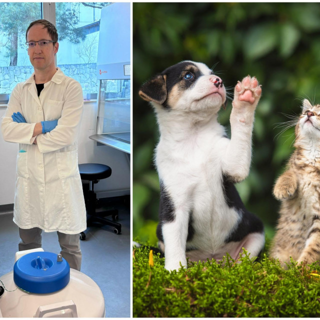&lt;p&gt;Dr. sc. Pellay počeo se baviti kloniranjem životinja prije godinu dana&lt;/p&gt;