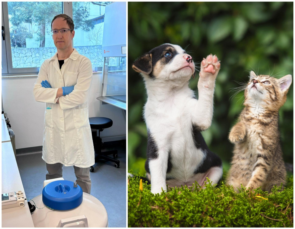 &lt;p&gt;Dr. sc. Pellay počeo se baviti kloniranjem životinja prije godinu dana&lt;/p&gt;