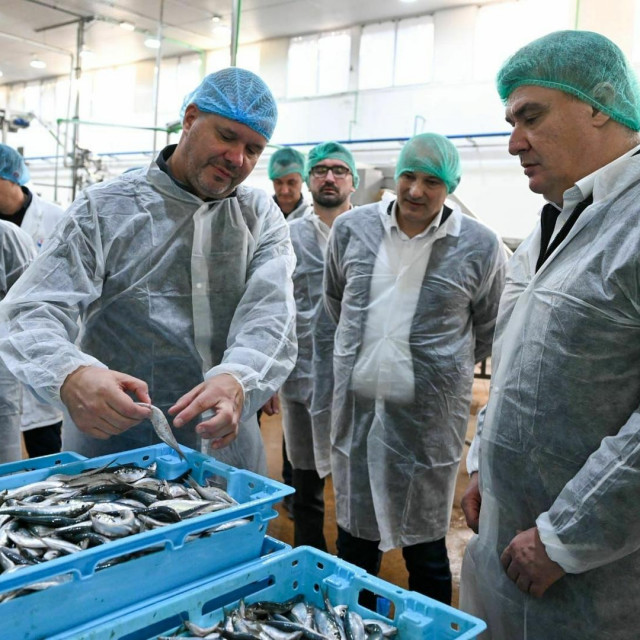 &lt;p&gt;Predsjednik Zoran Milanović u tvornici za preradu ribe Mardešić na Dugom otoku&lt;/p&gt;
