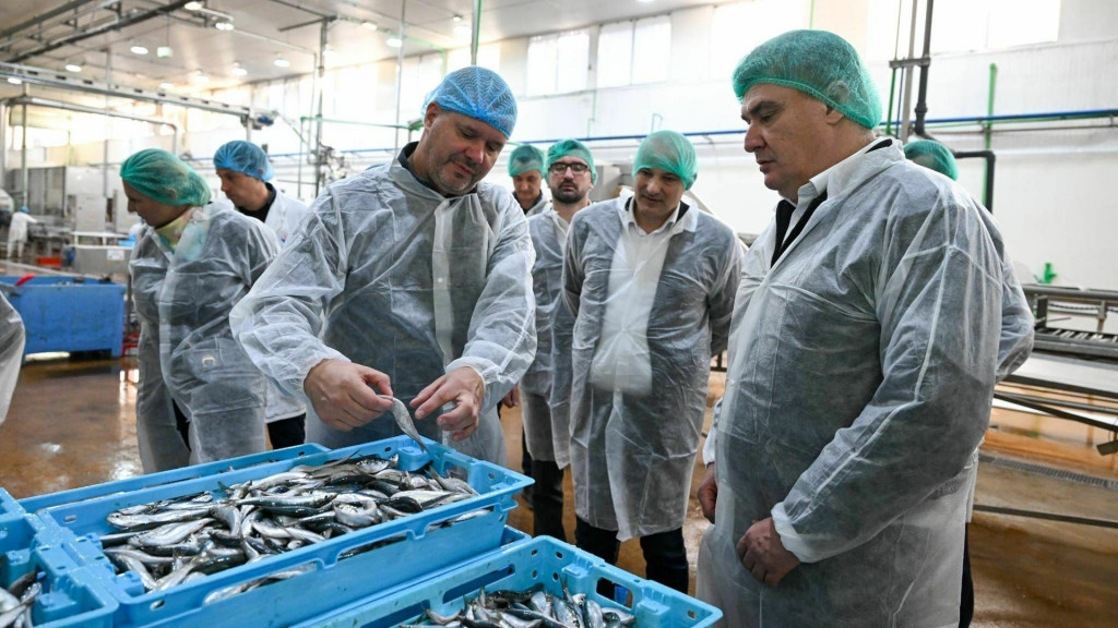 &lt;p&gt;Predsjednik Zoran Milanović u tvornici za preradu ribe Mardešić na Dugom otoku&lt;/p&gt;