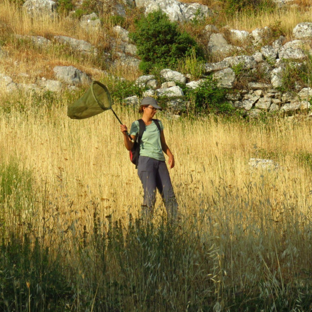 &lt;p&gt;Matea Martinović napredovala u zvanje višeg kustosa Prirodoslovnog muzeja u Dubrovniku&lt;/p&gt;